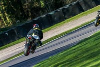 Oulton-Park-20th-March-2020;PJ-Motorsport-Photography-2020;anglesey;brands-hatch;cadwell-park;croft;donington-park;enduro-digital-images;event-digital-images;eventdigitalimages;mallory;no-limits;oulton-park;peter-wileman-photography;racing-digital-images;silverstone;snetterton;trackday-digital-images;trackday-photos;vmcc-banbury-run;welsh-2-day-enduro